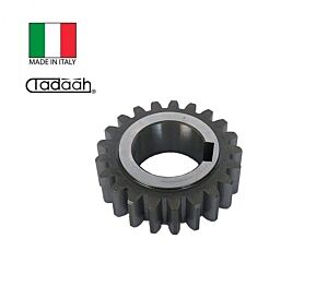 32.11.07.01 Ingranaggio Z21, filettatore a pettine SACO, AUTOR, GR0 e GR1 per Gildemeister, DMG Mori GM16AC, AS20, GS20, GM20, GM20AC
