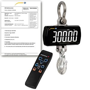 PCE Instruments PCE-CS 300LD-ICA Dinamometro con telecomando, range 0-300 kg, struttura metallica, display LCD retroilluminato, certificato ISO, funzioni avanzate e diverse unità di misura