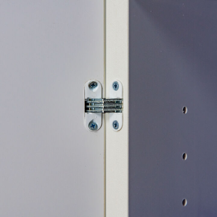 ECOSAFE APC91+ Armadio di sicurezza anticorrosione da laboratorio per lo stoccaggio di acidi, basi e prodotti tossici - Capacità di stoccaggio 120L