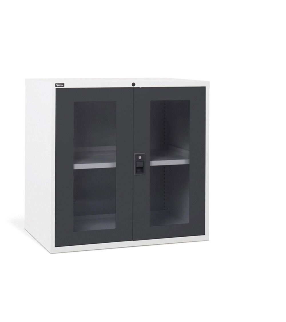 Fami D53A100C01006PD Armadio per ufficio con ripiano regolabile e due ante a battenti in policarbonato, dimensioni 1020x726x1000mm
