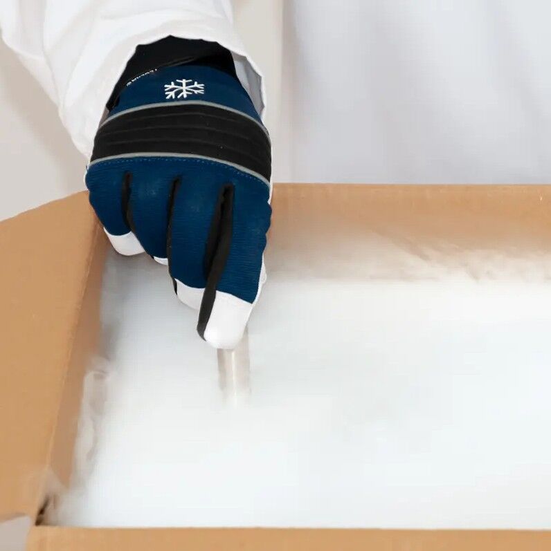 PCE Instruments PCE-LTD 100 Cryo datalogger for low-temperature measurement, measurement range -80 to +70°C